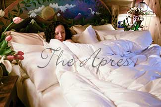 Lyocell Down Comforters - Queen Size lq
