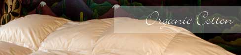 Organic Cotton Down Comforters