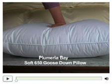 Down Pillow Videos