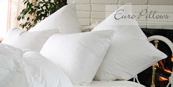Traditional Luxury Euro Size Square Goose Down Pillows