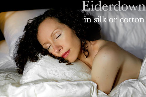 eiderdown-duvet-pillow-lrg.jpg