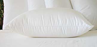 Queen Size Silk Covered Down Pillows sdpq
