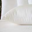 King Size Silk Covered Down Pillows sdpk