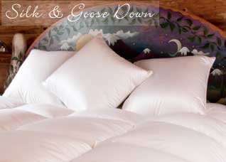 Silk Covered Goose Down Pillows - 900 Fill Power European Size