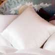 Silk Covered Goose Down Pillows