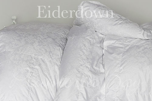 Twin Size Eiderdown Comforters ec-t
