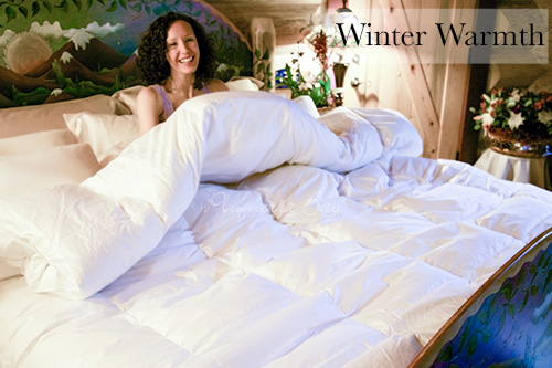Image of Winter Warmth Down Comforter