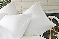 euro-pillow-icon.jpg