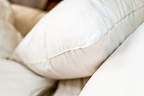 The Plumeria Euro Square Pillow