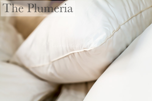 The Plumeria Goose Down Pillow - Standard Size 900 Fill