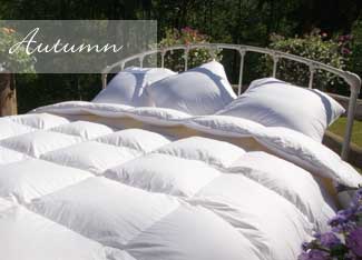 Traditional Luxury™ Down Comforter - German Size tlt