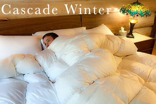 Cascade Made™ 800 Down Comforter - Twin Size Cascade Winter Warmth