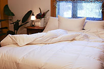 Cascade Made® Queen Size Down Comforter  -  700 Fill Power Goose Down - Ultra Light cmcq700ul