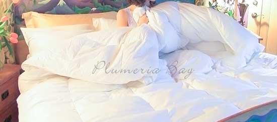 image of a duvet, without a duvet cover