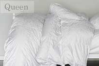 Queen Size Eiderdown Comforter - Light (24oz) Warmth ec-ql