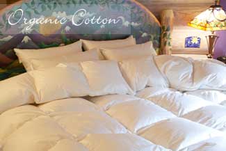 Organic Cotton Down Comforters - Queen Size odcq