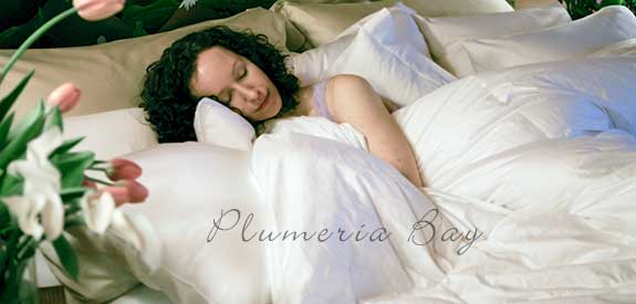 Image of a Goose Down Comforter, or Duvet