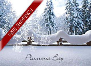 image of snow covered landscape