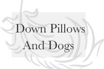 Down Pillows & Dogs