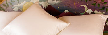 Silk Covered Goose Down Pillows