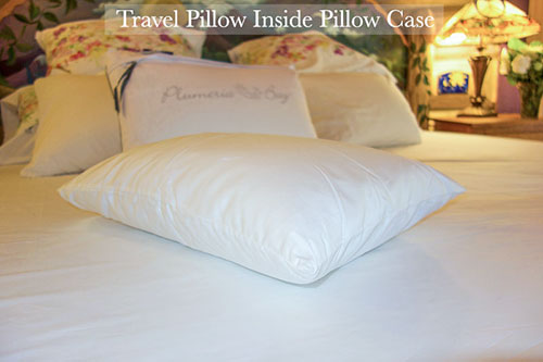 image of Traditional Luxury Goose Down Travel Pillow inside included pillow case
