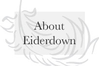 An Eiderdown comforter is the warmest, and coolest down comforter in the world