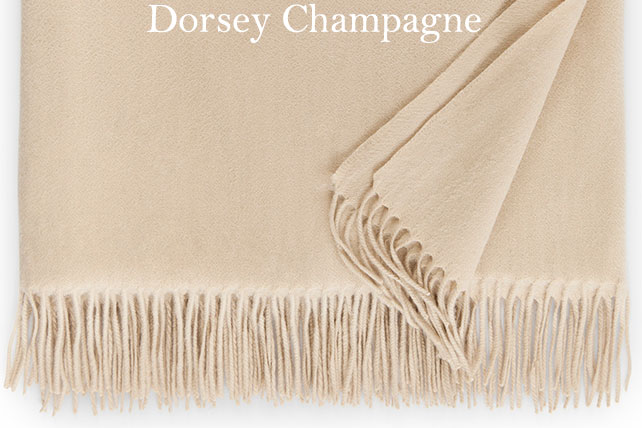 Sferra Dorsey - Champagne