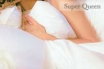canada goose down feather comforter