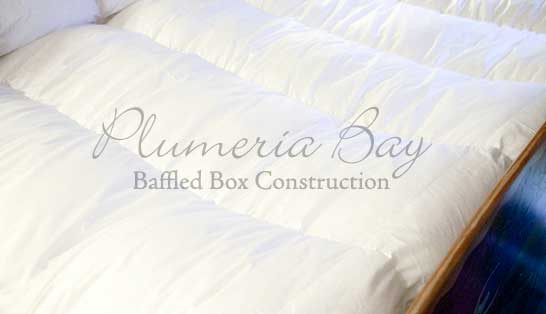 A Plumeria Bay Baffled Box Down Comforter