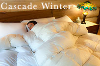 Cascade Made® Queen Size Down Comforter - 700 Fill Power Goose Down - Cascade Winter cmcq700cw