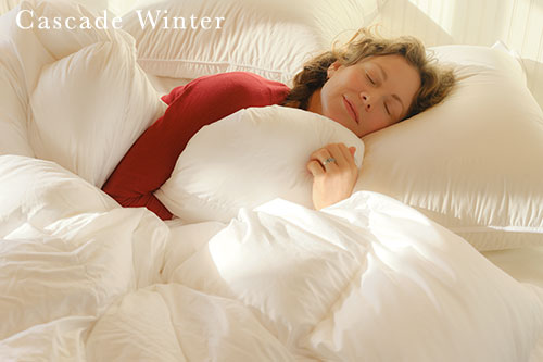 Cascade Made™ 800 Down Comforter - Cascade Winter Warmth
