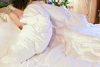 Shop Down Comforters Find Your Cozy Plumeria Bay