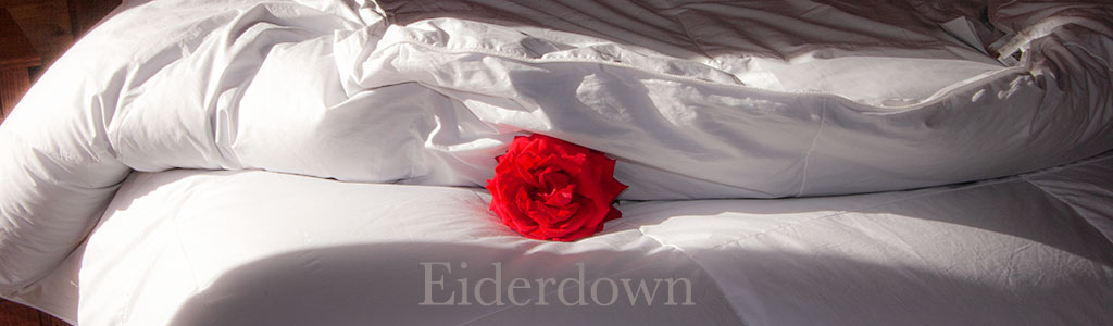 A Plumeria Bay eiderdown comforter A Plumeria Bay eiderdown comforter