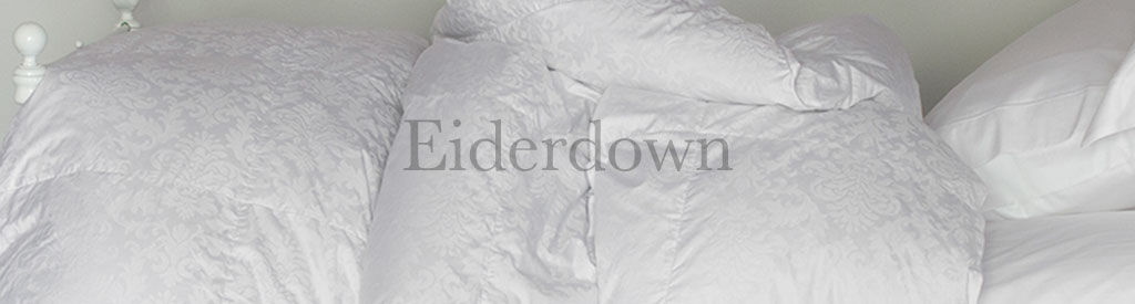 About Eiderdown The Best Down In The World Plumeria Bay