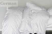 Euro Twin Size Eiderdown Comforter ec-g