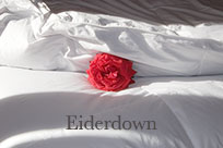Twin Size Eiderdown Comforter ec-t