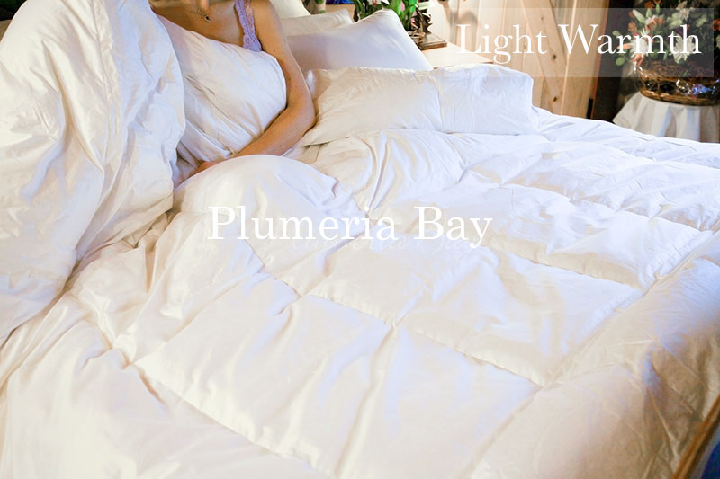 The Silk Plumeria Silk Covered Goose Down Comforter