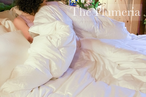 Queen Size - The Plumeria Polish Goose Down Comforter