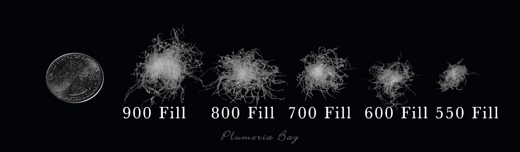 Image showing the size of different fill power down clusters, from 550 fill power to 900 fill power