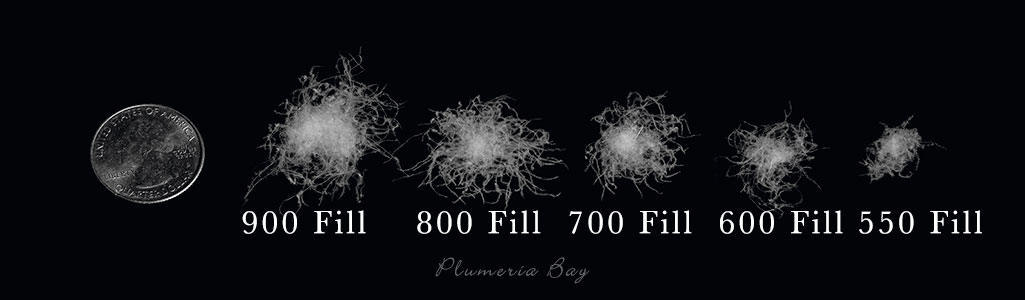 Goose down fill power comparison of 550, 600, 700, 800 and 900 fill power goose down clusters