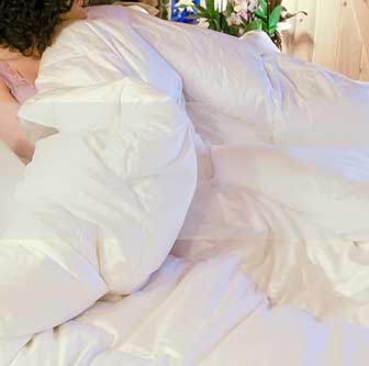 Plumeria Bay Quality Down Comforters Pillows Bed Linens