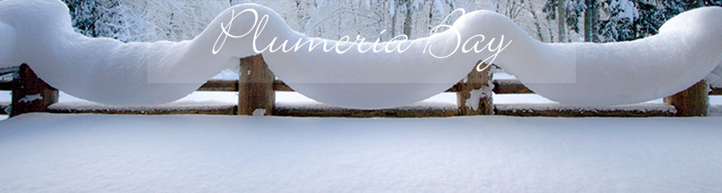 a cozy fluffy snow covered landscape