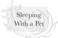 Sleeping With Pets