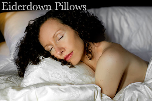 Queen Size Eiderdown Pillow