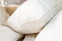 Queen Size - The Plumeria Polish White Goose Down Pillow sdpq