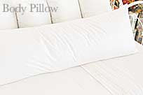Body Pillow - Traditional Luxury Canadian White Goose Down bp