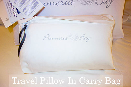 image of Traditional Luxury Travel Pillow in carry bag