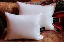 Travel Size - 800 Fill Power Goose Down Pillow cmpc800
