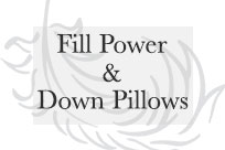 About Fill Power & Down Pillows