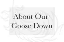 About Plumeria Bay&reg; Goose Down